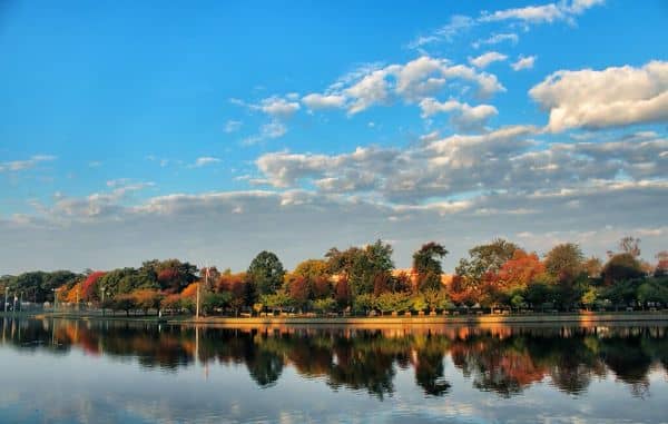 Arthur J. Hendrickson Park - Image 4
