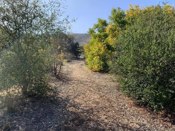 Wild Walnut Park - Image 1