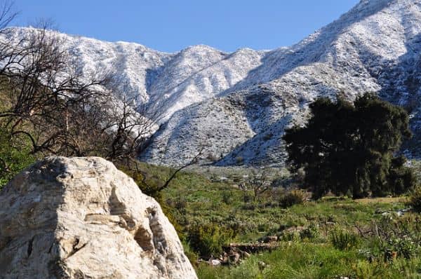 Deukmejian Wilderness Park - Image 4