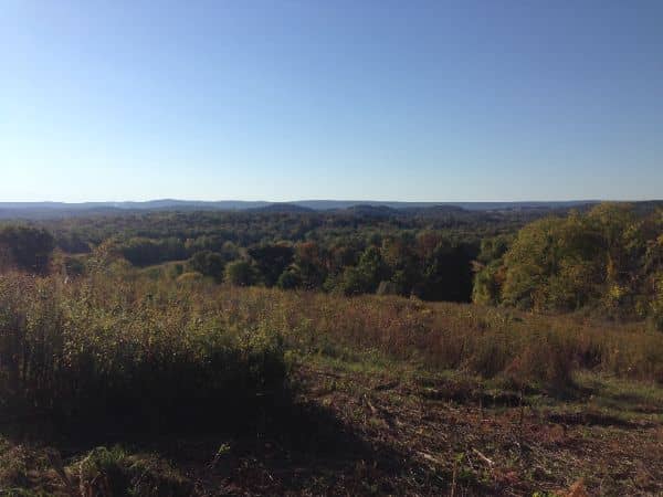 Dagmar Dale Nature Trail North Loop - Image 2