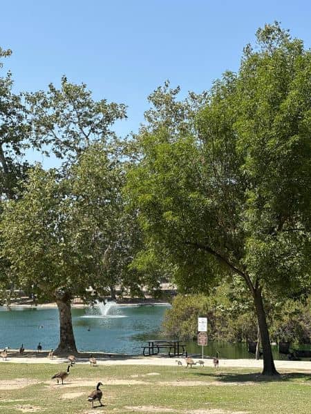 Rancho Simi Community Park - Image 3