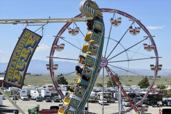 Helm & Sons Amusements - Image 2