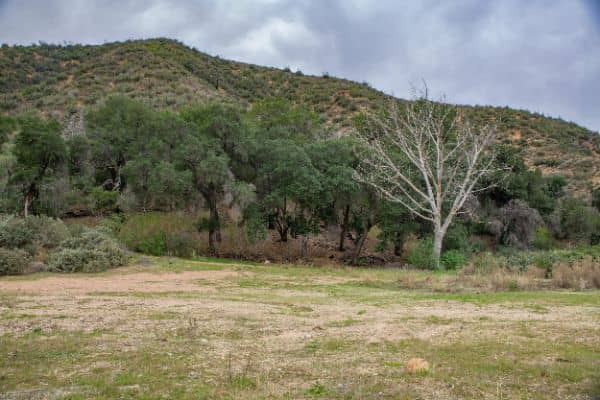 East Walker Ranch - Image 5
