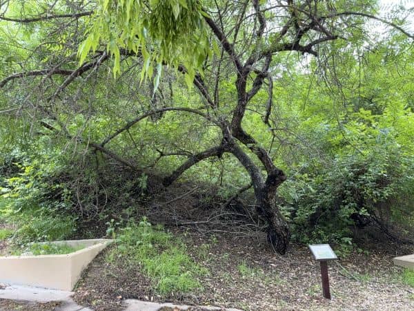 Galster Wilderness Park - Image 2