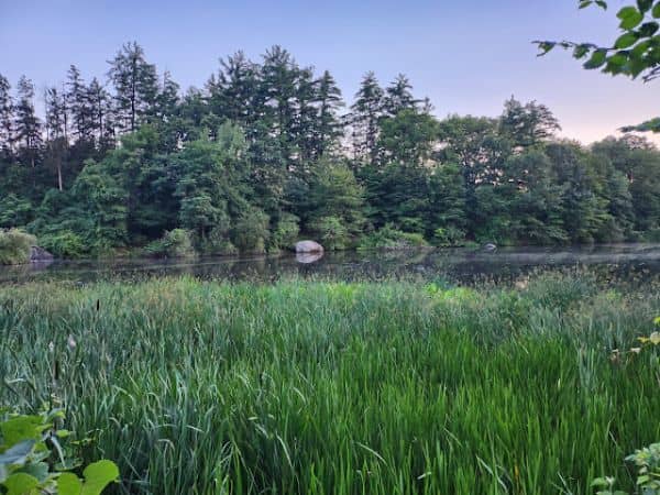 Kathryn Gorman Ponds Park - Image 5