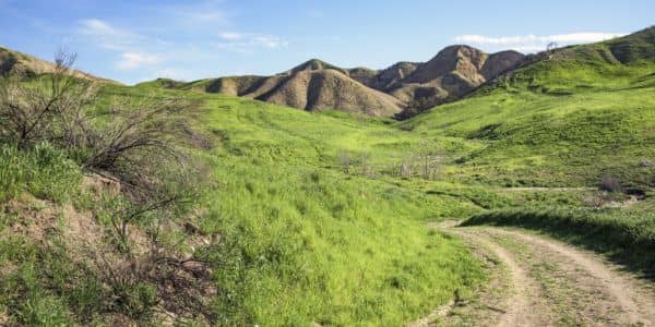 Golden valley ranch open space - Image 4