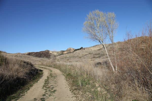 Golden valley ranch open space - Image 3
