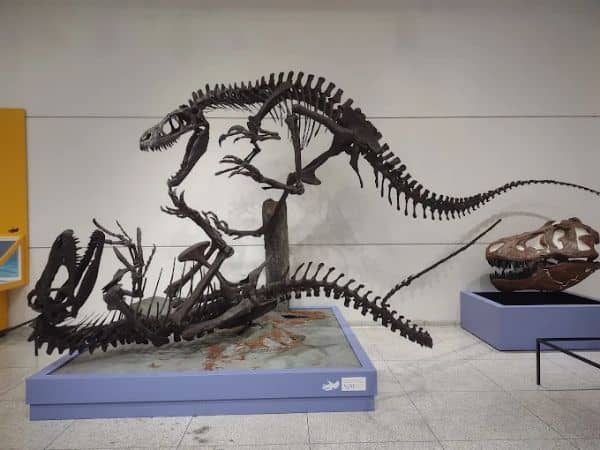 Planetarium At NJ State Museum - Image 2