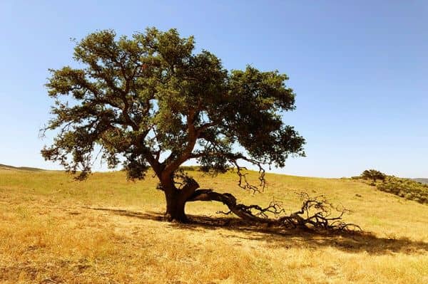 Sandstone Ranch - Image 2