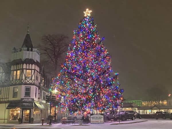 Ridgewood Christmas Tree - Image 1