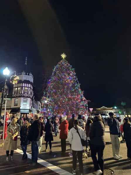 Ridgewood Christmas Tree - Image 2