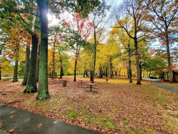 Etra Lake Park - Image 3