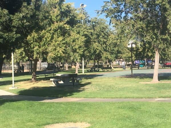 Eva Dell Park - Image 2