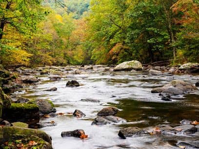 Ken Lockwood Gorge Wildlife Management Area - Image 2