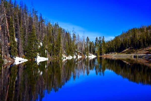Lake Eleanor - Image 5