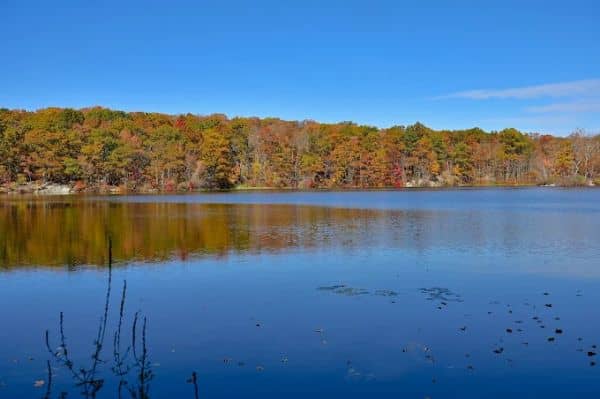 Taconic Outdoor Education Center - Image 3