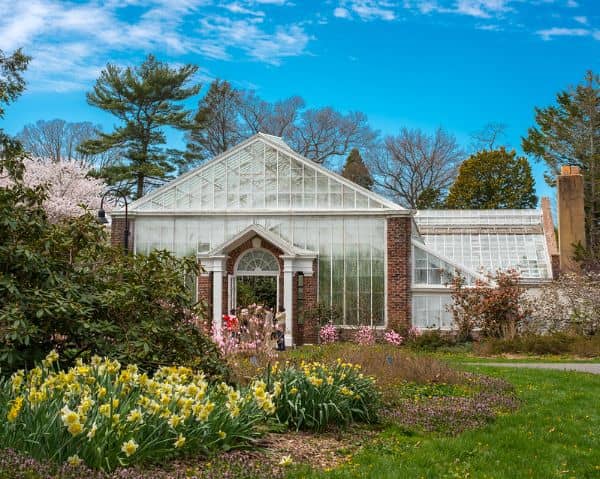 Planting Fields Arboretum State Historic Park - Image 4