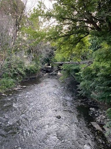 Mill Hill Park - Image 3