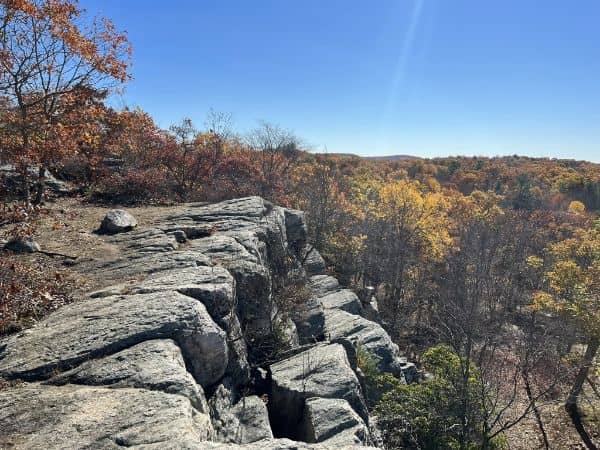 Black Ash Mountain - Image 2
