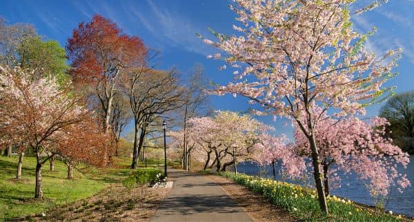 Branch Brook Park - Image 2
