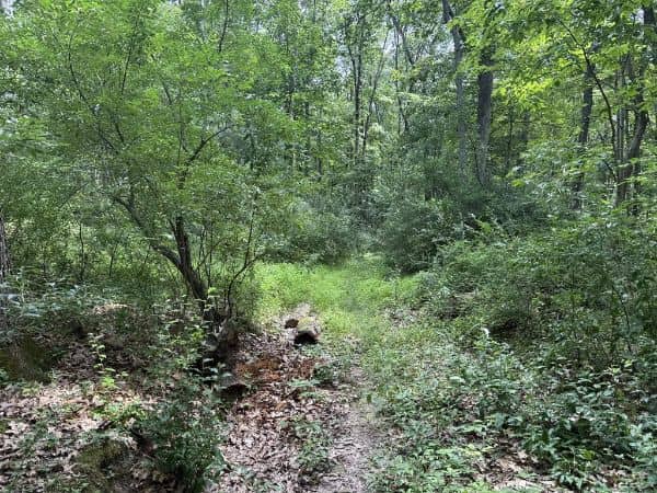 Greendell Ridge Preserve Trailhead - Image 2