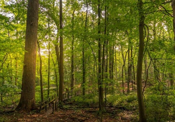 Weinberg Nature Center - Image 4