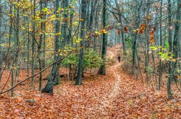 Weinberg Nature Center - Image 1