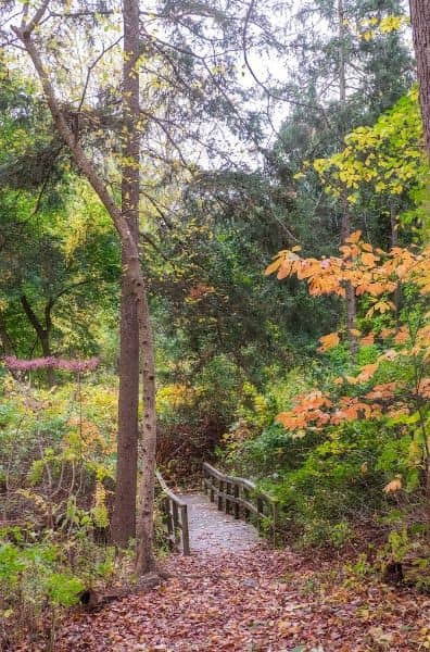 Weinberg Nature Center - Image 2