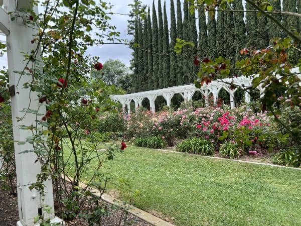 Lacy Park - Image 3