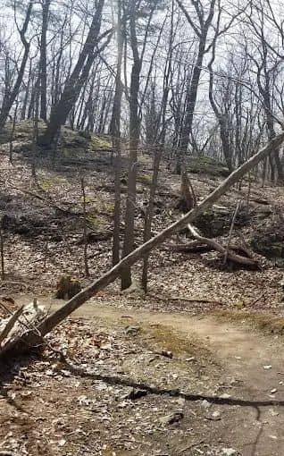 Hudson Highlands Wildlife Education Campus - Image 4