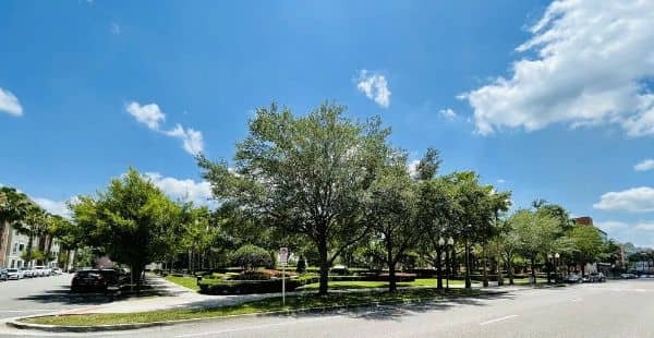 Avalon Park - Image 2