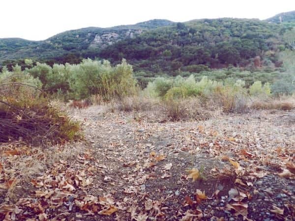 Agoura hills - Image 4