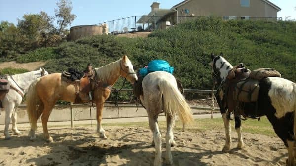Pacer Park - Image 2