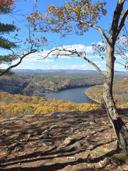 Long Path trail - Image 3