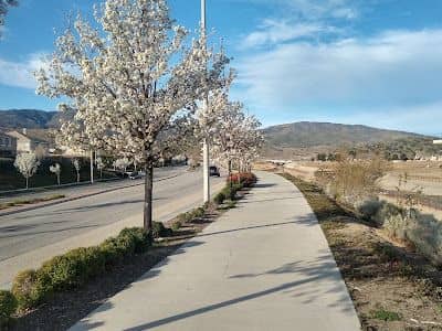 Amargosa Creek Natural Park - Image 1