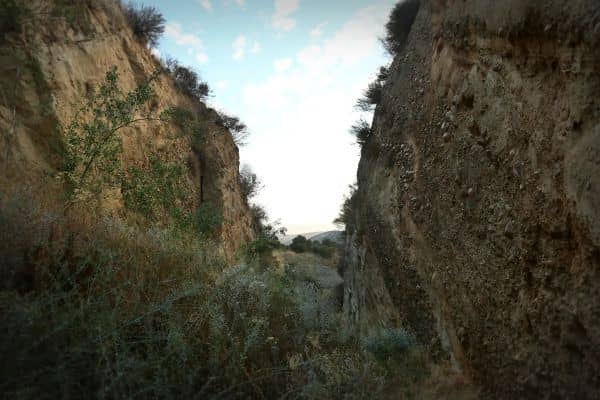 Beale's Cut - Image 4