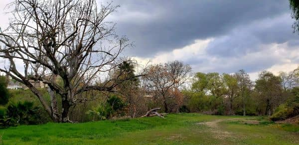 Walnut Creek Nature Park - Image 2