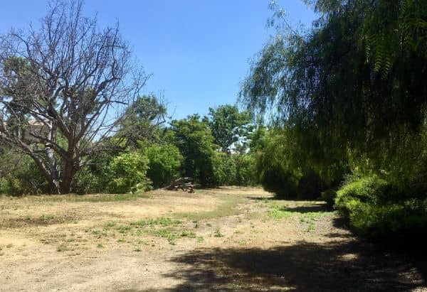 Walnut Creek Nature Park - Image 3