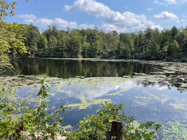 Pelton Pond - Fahnestock State Park - Image 5