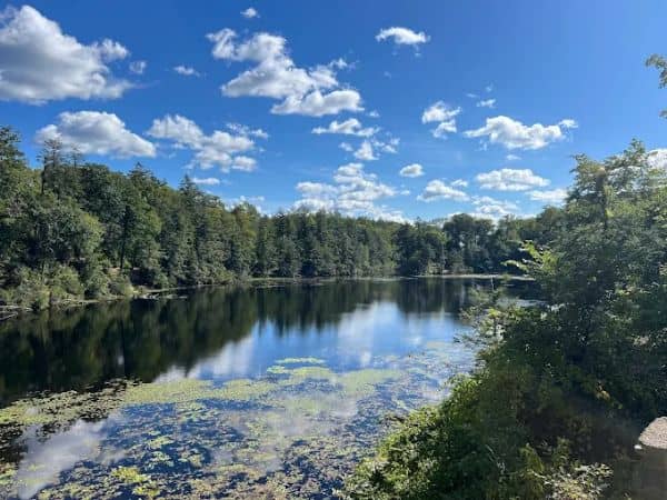 Pelton Pond - Fahnestock State Park - Image 3