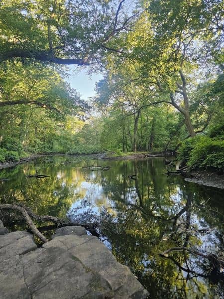 Hunts Mills Park - Image 5