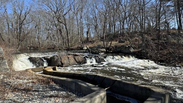 Hunts Mills Park - Image 2