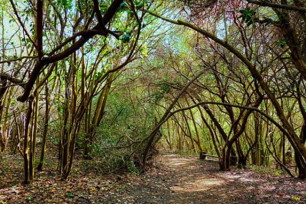 El Dorado Park - Image 2