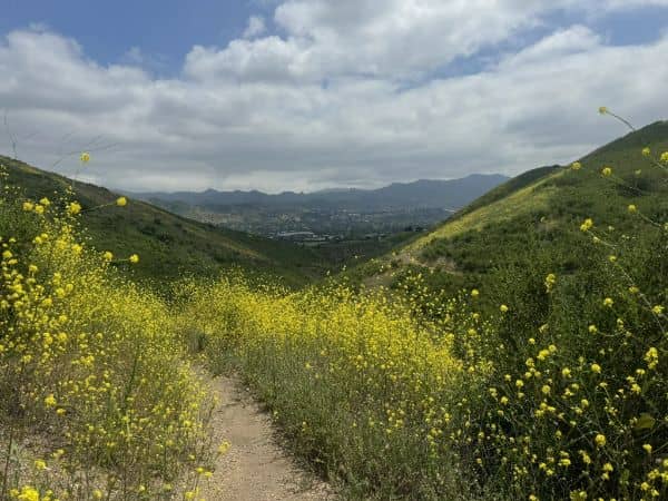 North Ranch Open Space - Image 3
