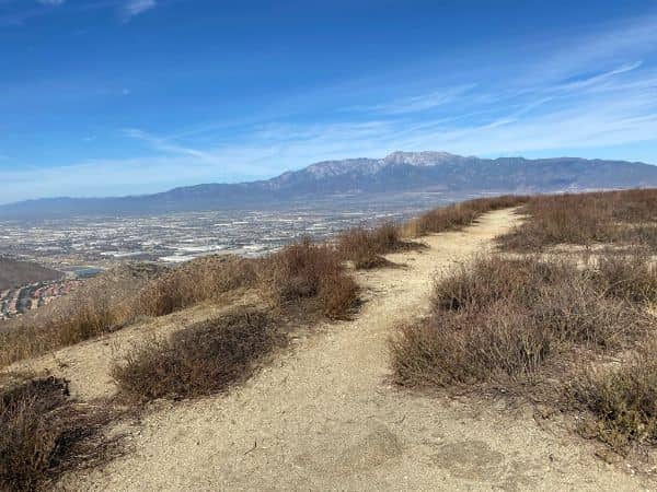 Martin Tudor Jurupa Hills Regional Park - Image 3