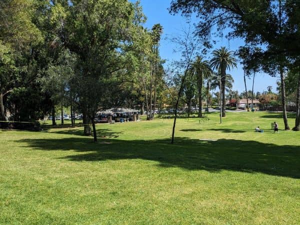 Dennis the Menace Park - Image 4
