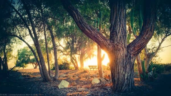 Conejo Valley Botanic Garden - Image 1