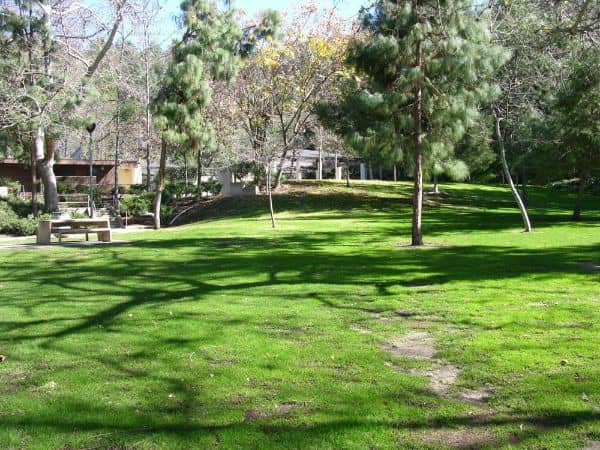 Lower Scholl Canyon Park - Image 3