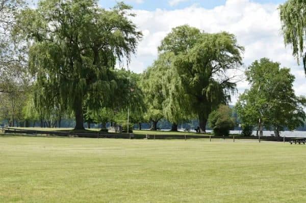 Donahue Memorial Park (PERMIT PARKING ONLY) - Image 4