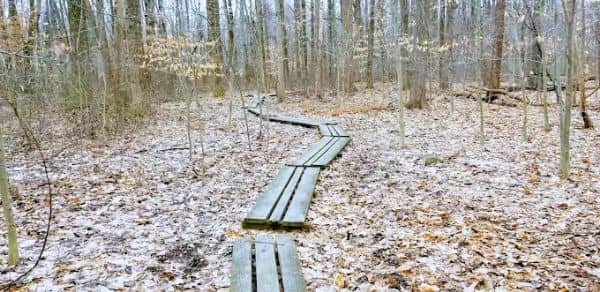 Sourland Ecosystem Preserve - Image 2